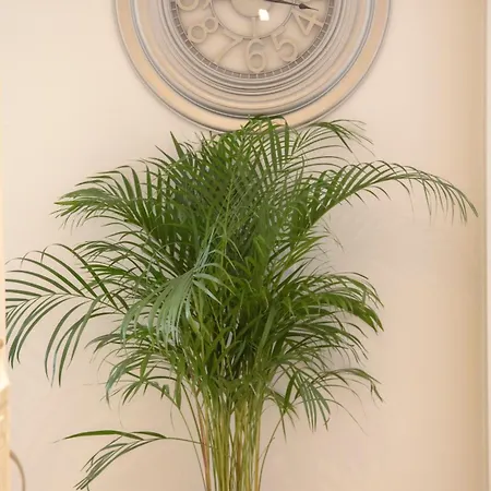 San Pietro Luxury Relais לינה וארוחת בוקר רומא